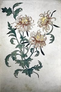 Bloemen door Olga Rozanova